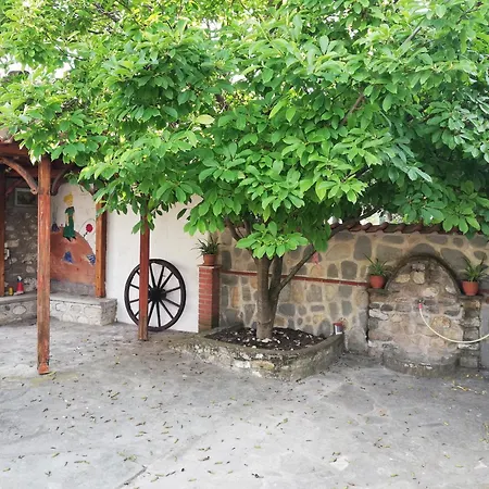 Papa House Vrasná